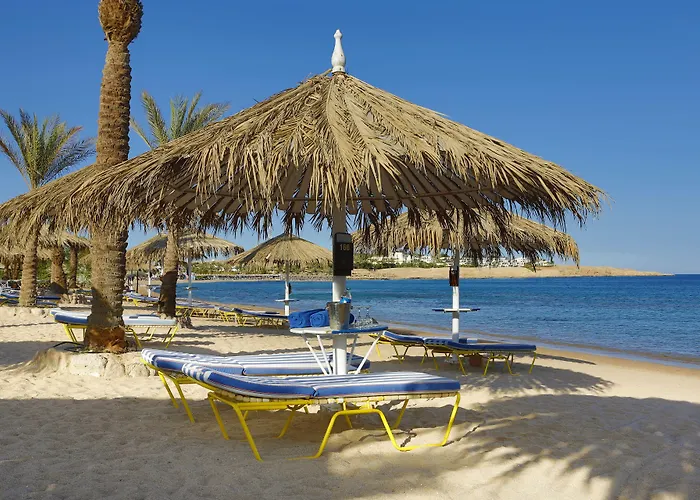 Jaz Dreams 5* Sharm el-Sheikh