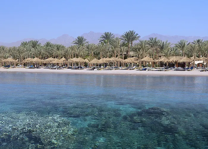 Jaz Dreams 5* Sharm el-Sheikh