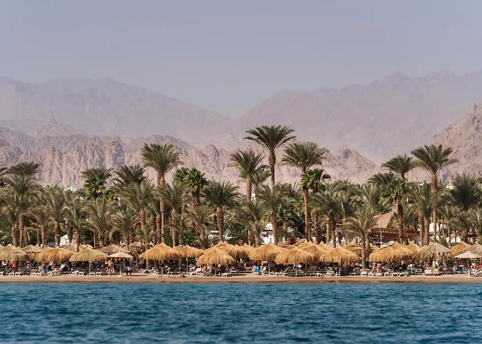 Jaz Dreams Resort Sharm el-Sheikh
